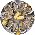 Ostriche del giorno - Ristorante di Pesce Canaan Forlì